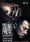 police story 2013 poster.jpg